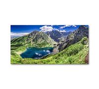 Tulup Splashback 55.12x27.56 inch / 140x70 cm Toughened Safe Glass Wall Protection Kitchen Splash Back Glass Panel Protection Induction Cooker Kitchen Panel Tempered Glass - Green - The Black Lake