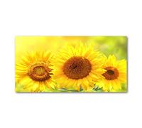 Tulup Splashback 55.12x27.56 inch / 140x70 cm Toughened Safe Glass Wall Protection Kitchen Splash back Glass Panel Protection Induction Cooker Kitchen Panel Tempered Glass - Yellow - sunflowers