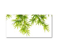 Tulup Splashback 55.12x27.56 inch / 140x70 cm Toughened Safe Glass Wall Protection Kitchen Splash back Glass Panel Protection Induction Cooker Kitchen Panel Tempered Glass - Green - bamboo leaves