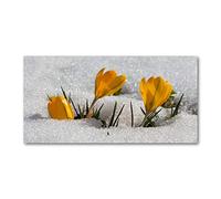 Tulup Splashback 55.12x27.56 inch / 140x70 cm Wall Protection Glass Panel Kitchen Panel Splash back Kitchen Protection Induction Cooker Tempered Glass Toughened Safe Glass - Yellow - Crocuses in the snow