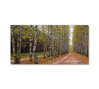 Tulup Splashback 55.12x27.56 inch / 140x70 cm Wall Protection Glass Panel Kitchen Panel Splash Back Kitchen Protection Induction Cooker Tempered Glass Toughened Safe Glass - Green - Birks Allee