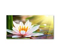 Tulup Splashback 55.12x27.56 inch / 140x70 cm Wall Protection Kitchen Panel Toughened Safe Glass Kitchen Protection Induction Cooker Glass Panel Splash back Tempered Glass - Multicolored - water lily