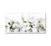 Tulup Splashback 55.12x27.56 inch / 140x70 cm Wall Protection Tempered Glass Kitchen Panel Toughened Safe Glass Panel Protection Induction Cooker Kitchen Splash back - White - snowdrops