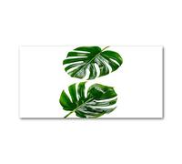 Tulup Splashback 55.12x27.56 inch / 140x70 cm Wall Protection Toughened Safe Glass Splash back Kitchen Panel Tempered Glass Kitchen Protection Induction Cooker Glass Panel - Green - tropical leaves