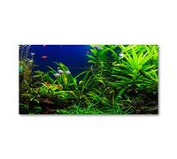 Tulup Splashback - Backsplash - Cooker Hob Wall Splashback - Kitchen Wall Panels - Heat Resistant - Toughened/Tempered Safety Real Glass - 140x70cm - Landscapes - Green - Fish in the aquarium