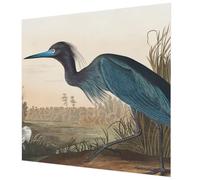 Tulup Wallpaper Mural 250x250 cm Wall Installation Easy to Clean Glue Icluded for The Living Room, Bedroom, and Hallway Home Decoration Photographic Design - Waterfowl