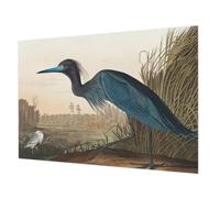 Tulup Wallpaper Mural 312x219 cm Wall Installation Easy to Clean Glue Icluded for The Living Room, Bedroom, and Hallway Home Decoration Photographic Design - Waterfowl