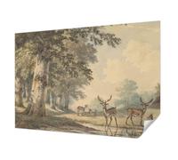 Tulup Wallpaper Peel and Stick 312x219 cm Wall Installation Easy to Clean Sticky Back for The Living Room, Bedroom, and Hallway Home Decoration Photographic Design - Forest Peace