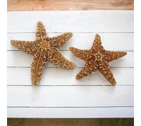 Tumbler Home Real Starfish Décor - 2pcs - 4" - 6" Large Starfish for Crafts, Beach House Décor, Christmas Ornaments & Nautical Decorations