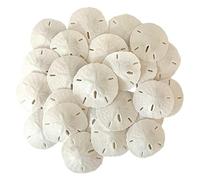 Tumbler Home White Sand Dollars 2" to 2.25" Set of 48 - Wedding Seashell Craft Sand Dollars- Hand Picked and Professionally Packed