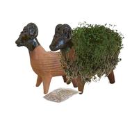Tumia LAC Grow Your Own Kits, Sheep Cress Ceramic Figure, Gifts for Women and Men, Garden Ornament, Figure Height 18 cm Including Seeds