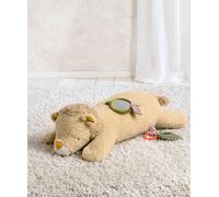 Tummy Time - Lenny Lion BORN TO BE WILD