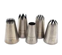 Tumtanm Piping Tips Large Cake Decorating Tools, 5 Pack Cake Piping Nozzles Tips Kit - DIY Icing Nozzle Tool for Cupcakes