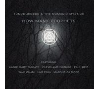 TUNDE JEGEDE & THE NOMADIC MYSTICS - How Many Prophets