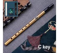 Tuned Tin Penny Flute with Six Holes A Must Have For Anyone Passionate About Creating Authentic Sounds in the World of Folk Music (A)
