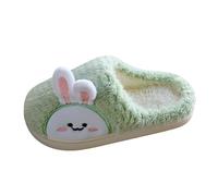 Tunic For Girl Dressed Casual Warm Winter Slippers Kids Warm Slippers Home 3D Cartoon Printing Slippers Girl Silver Pointed Toe, Green, 9.5 UK Child
