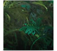 Tunico - Tunico [VINYL]