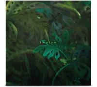 Tunico - Tunico - 12" Vinyl LP (2023) - Alive AG