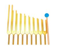 Tuning Fork Set Aluminium Alloy Resonant Virbration Instrument