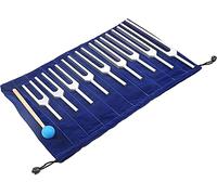 Tuning Forks Set, 9 Tuning Forks with Hammer and Silicone Bag Sound Therapy to Adjust Human Biological Field 417 Hz 528 Hz for DNA Healing, Sound Therapy, Yoga, Meditation