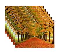 Tunnel Effect Table Mats Set of 4, Autumn Forest Washable Non-slip Place Mats Heat Insulation Placemats for Kitchen Dinning Restaurant, 30 x 45cm, Orange Color