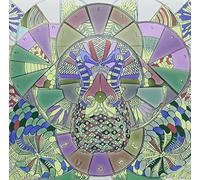TUNNG - ...And Then We Saw Land [VINYL]