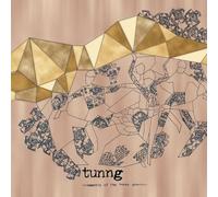 Tunng - Comments Of The Inner Chorus