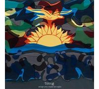 Tunng - Songs You Make at Night Tunng Lp Blue + [VINYL]