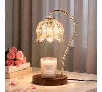 Tuocal Candle Warmer Lamp with Timer, Electric Candles Melting Light 2 Bulbs Brightness Adjustable Jar Candles Flameless Burner for Women's Birthday Various