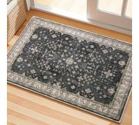 Tuocal Door Mats Indoor Outdoor 60 x 90 cm, Absorbent Heavy Duty Non-Slip Floor Mat Low Profile Door Mats Outdoor Washable Entrance Rug Easy To Clean Floor Mat for Entryway Patio Pets