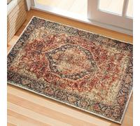 Tuocal Door Mats Indoor Outdoor 60 x 90 cm, Absorbent Heavy Duty Non-Slip Floor Mat Low Profile Door Mats Outdoor Washable Entrance Rug Easy To Clean Floor Mat for Entryway Patio Pets