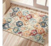 Tuocal Door Mats Indoor Outdoor 60 x 90 cm, Absorbent Heavy Duty Non-Slip Floor Mat Low Profile Door Mats Outdoor Washable Entrance Rug Easy To Clean Floor Mat for Entryway Patio Pets