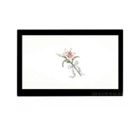 TUOPUONE 13.3inch Capacitive Touch Screen LCD Compatible with Raspberry Pi And Jetson Nano 1920×1080 Resolution HDMI Display Interface IPS Panle Various Systems Support
