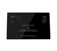 TUOPUONE 13.3inch Magic Mirror Compatible with Raspberry Pi 3A+ Inside As The Controller 1920×1080 Pixels Resolution IPS Panel Voice Assistant Touch Control