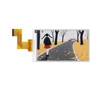 TUOPUONE 3.97inch E-Paper Display (G) E-Ink 800 × 480 Pixels Red/Yellow/Black/White SPI Interface Standard Raspb Pi 40PIN GPIO header Only Raw Screen