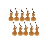Tuoservo 10Pcs Natural Dry Gourd Decorative Dried Flowers Fruits Accents Gourd Bottle Small for Rustic Wedding Floral Arrangements Home Decor Table Ornaments