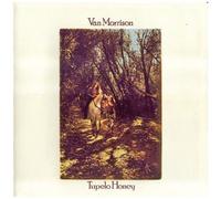 Tupelo Honey by Van Morrison (2008-01-29)