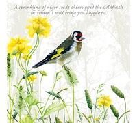 Tuppence A Bag Goldfinch Happiness Bird Themed Bird Art Greeting Card Blank TAB10
