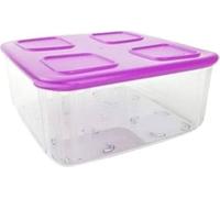 Tupperware Clear Mates Snack Plastic Utility Container 1.62L Set of 1 (Multicolor)