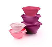 Tupperware Heritage Collection, New 10 Piece Food Storage Container Set in Vintage Pink, Dishwasher Safe and BPA Free (5 Bowls, 5 Lids)