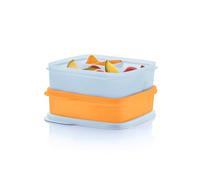 Tupperware Lunch-It Portion & Go Compact 2-Lunch Box Set, Dishwasher Safe and BPA Free (2.3 Cups/550 ml)