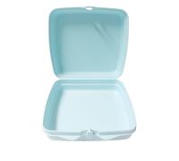 Tupperware Sandwich Box Storage Box Sandwich Box Square with Hinge and Lock Light Blue Ice Blue