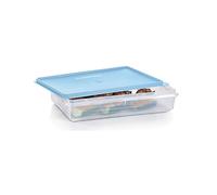 Tupperware Snack-Stor Large Container