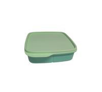 Tupperware to Go Lunch Box Clever Break 550 ml Lunch Box with Divider Eco+ School (Pastel Green 550 ml)