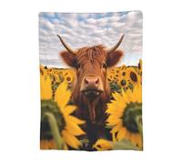 Turamurra Highland Cow Blanket Gifts for Adults Kids Soft Warm Lightweight Cozy Cute Farm Sunflower Animal Cow Print Throw Blankets for Couch Bedroom Sofa Living Room Decor 50x40in