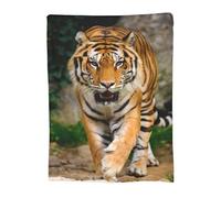Turamurra Tiger Forest Blanket Jungle Bengal Tiger Gifts Soft Warm Lightweight Blanket for Aduts Men Boys Tiger Lovers Valentines Birthday Bedroom Bed Sofa Decor 60"x80"