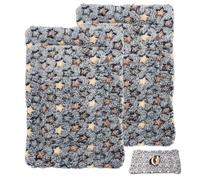 TURAOHU Guinea Pig Bed, 2 Pcs Double-Layer Coral Fleece Guinea Pig Beds and Bunny Beds, Soft and Skin-Friendly, Suitable for Small Animals Such as Rabbits and Hamsters(12.6 * 9.8Inch)