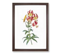 Turban Lily Flowers by Pierre-Joseph Redoute Framed Print | A2 Walnut Framed Wall Art | Ready to Hang | Modern Floral Picture | Living Room Bedroom Lounge Office