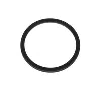 FA1 076.661.005 Seal, charger