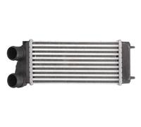 THERMOTEC DAC004TT Intercooler